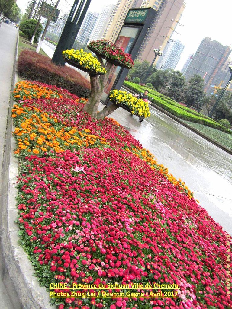Chengdu avril 2017 - 006.JPG